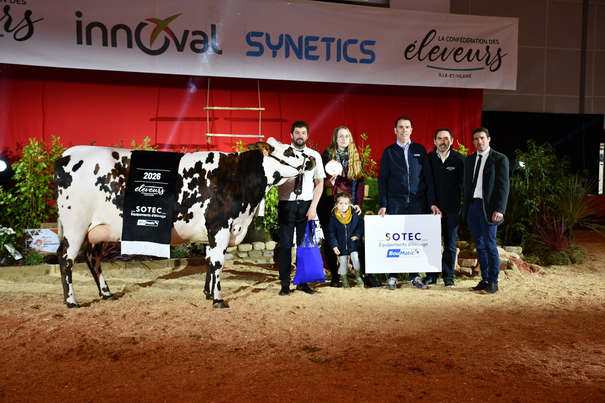 Un groupe de personnes et une vache sur un ring lors de la remise des prix d'un concours bovin - Illustration Utah Beach débarque en tête