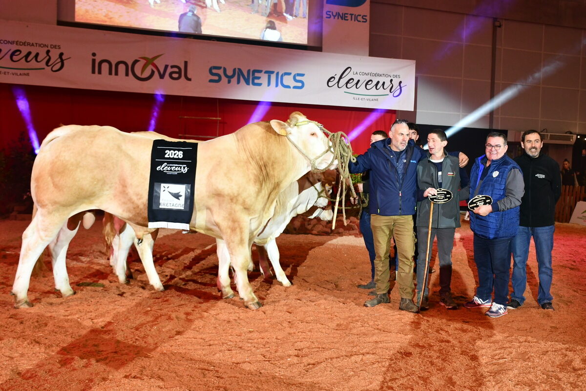 Un groupe de personnes et des bovins de race Blonde d'Aquitaine sur un ring lors de la remise des prix d'un concours bovin - Illustration Le Morbihan invité en Blonde