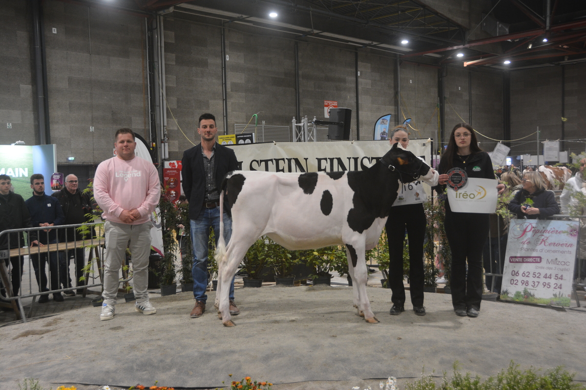 Un groupe de personnes et une génisse sur un ring lors de la remise des prix d'un concours bovin - Illustration Jeunes pousses et présentateurs en herbe