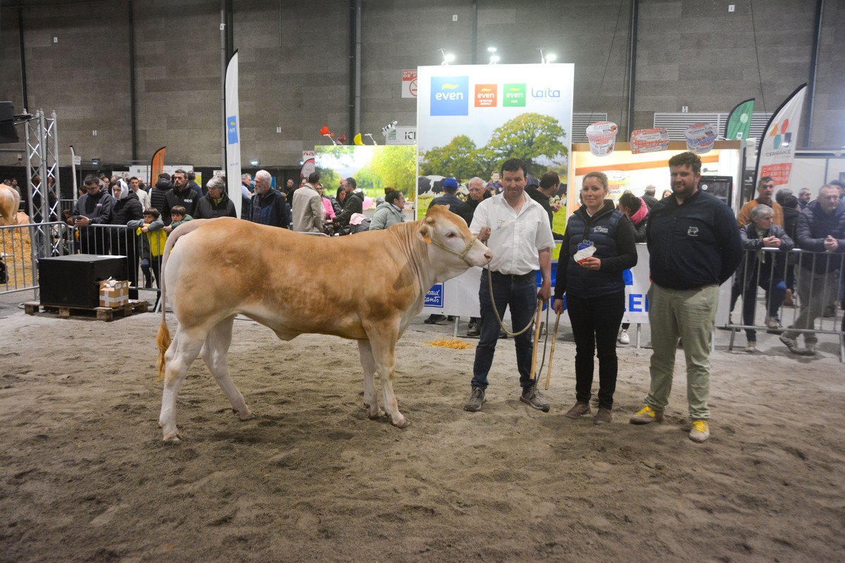 Des éleveurs et une vache blonde d'aquitaine lors de la remise des prix d