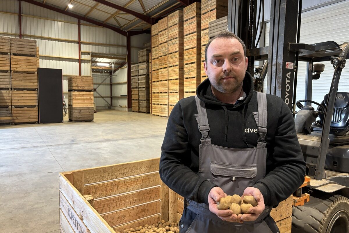 Une personne avec des plants de pomme de terre dans les mains - Illustration Piloter finement sa production de pommes de terre