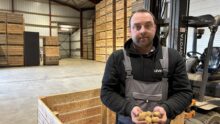 Une personne avec des plants de pomme de terre dans les mains