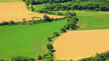 Paysagr de bocage en Bretagne