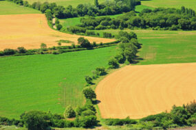 Paysagr de bocage en Bretagne