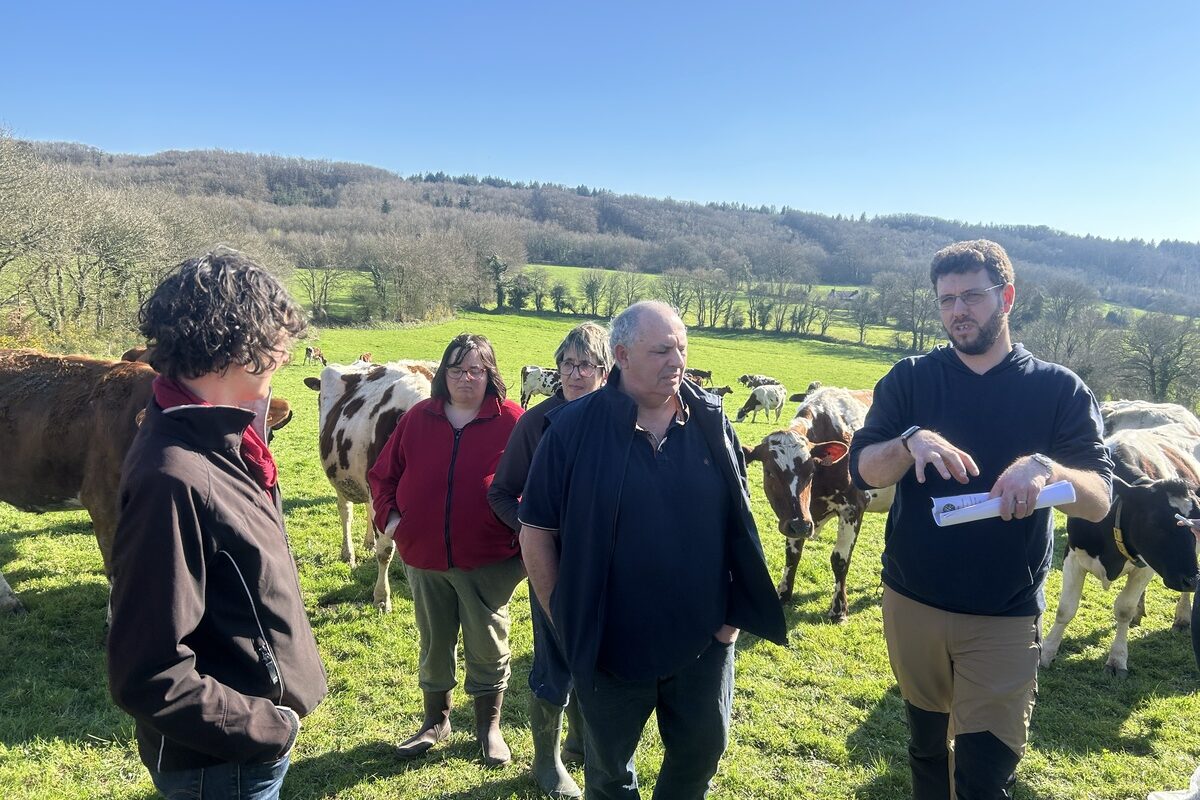 Les associés du Gaec Kergoat, à Spézet, dans un champ avec les vaches - Illustration L’herbe, rien que l’herbe