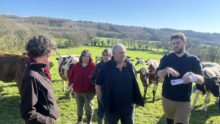 Les associés du Gaec Kergoat, à Spézet, dans un champ avec les vaches