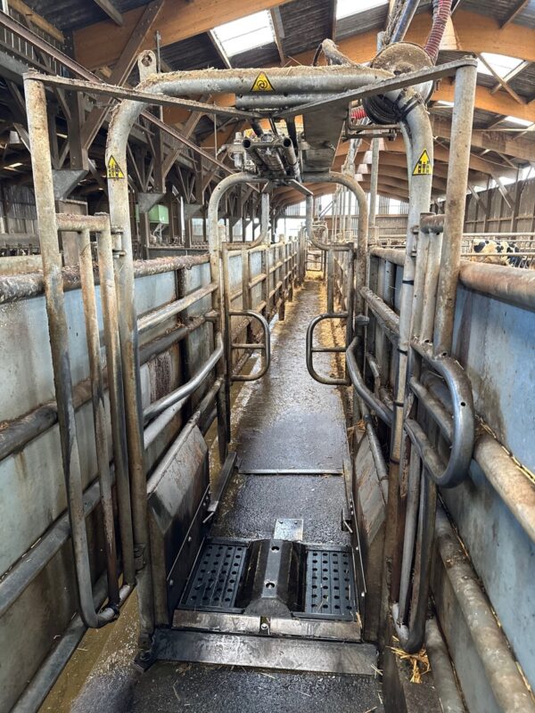 Une cage de trempage et ses barrières dans un élevage laitier 