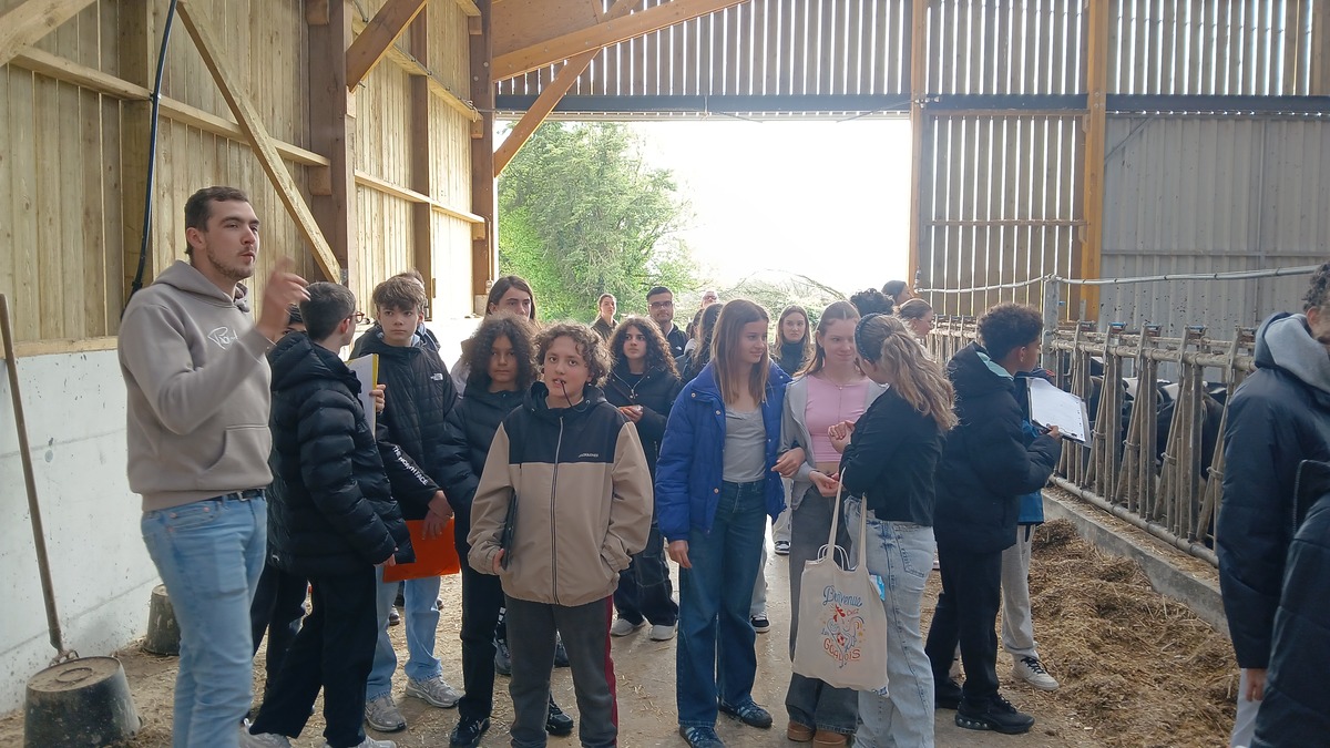 Des collégiens dans une ferme - Illustration Faire découvrir les métiers de l’agriculture
