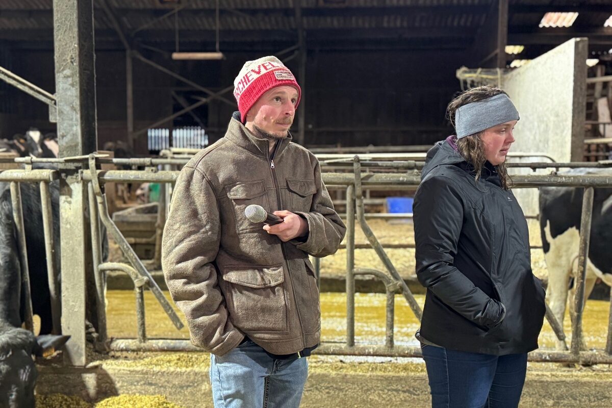 Un jeune homme et une jeune femme portant un bonnet dans une étable pour vaches laitières - Illustration Remettre le cheptel sur les rails à l&rsquo;installation
