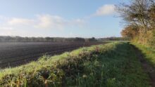 paysage de campagne avec un champ et un talus