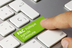 UGros plan sur un clavier d'ordinateur avec un doigt qui appuie sur la touche entrée sur laquelle il y a écrit "PAC Politique Agricole Commune"