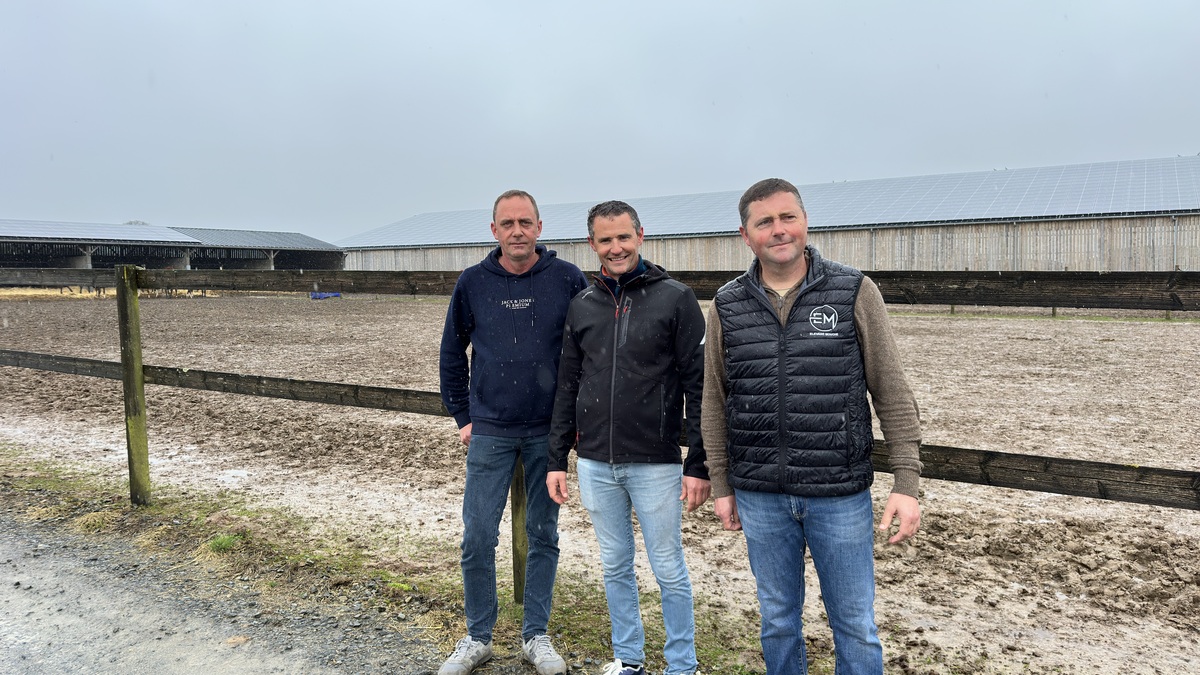 3 hommes devant un parc dans une exploitation agricole - Illustration C’est les watts qu’elle préfère