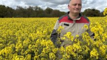 Un agriculteur dans un champ de colza