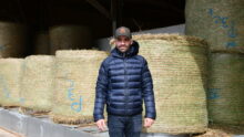 un éleveur devant des bottes de foin en round