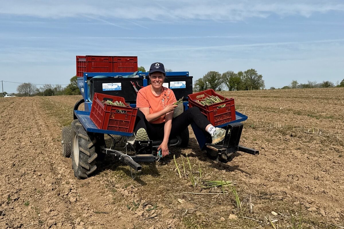 Une femme assise sur une machine en train de récolter des asperges vertes dans un champ - Illustration Les asperges de Lanrivain