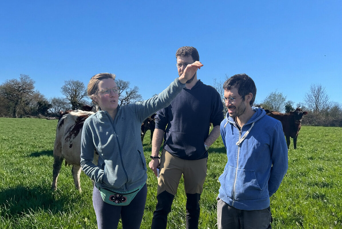 Une femme et deux hommes dans un champ avec des vaches. La femme est en train de parler en faisant des gestes - Illustration L’herbe comme colonne vertébrale