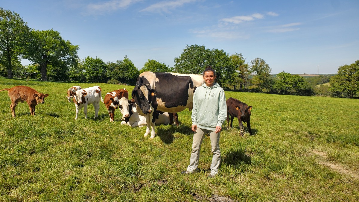 Une femme dans un champ avec des vaches - Illustration Un système tout herbe économe propice au vêlage groupé