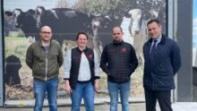 Trois hommes et une femme devant un poster de vaches laitières