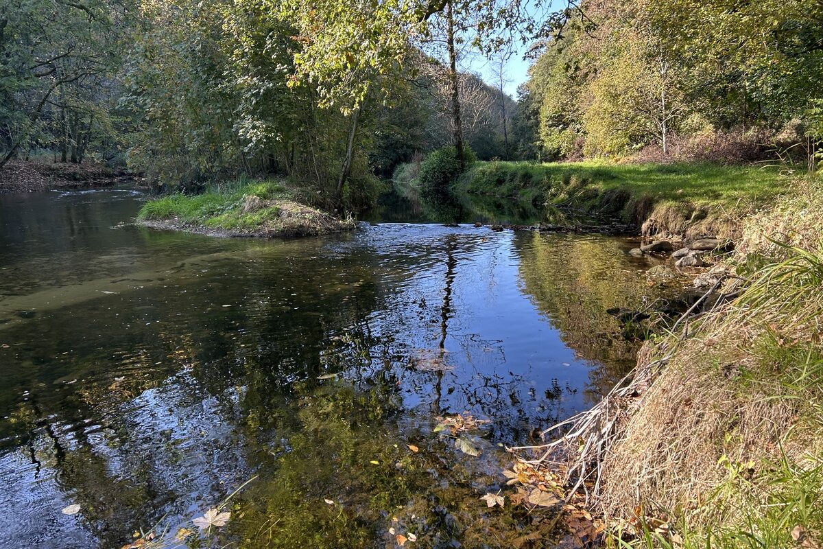 Une rivière paisible dans un paysage de bocage - Illustration Des Chambres consulaires contestent le Sdage Loire-Bretagne