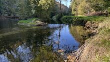 Une rivière paisible dans un paysage de bocage