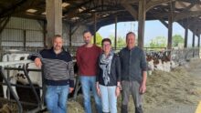 Trois hommes et une femme posenty devant la table d'alimentation d'un bâtiment d'élevage abritant des génisses de race Montbéliarde