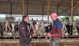 Deux hommes discutent dans un bâtiment agricole avec en arrière plan des vaches au cornadis