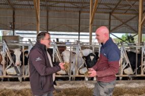 Deux hommes discutent dans un bâtiment agricole avec en arrière plan des vaches au cornadis