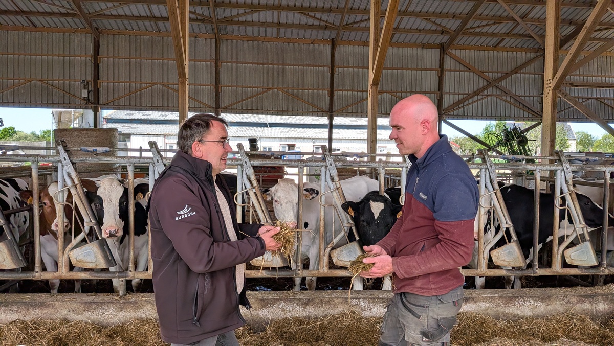 Deux hommes discutent dans un bâtiment agricole avec en arrière plan des vaches au cornadis - Illustration Réduire le temps de travail sans compromettre la qualité de la ration