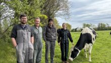Des agriculteurs avec une vache
