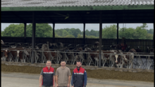 Trois hommes devant la table d'alimentation d'un bâtiment pour vaches slaitières