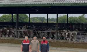 Trois hommes devant la table d'alimentation d'un bâtiment pour vaches slaitières