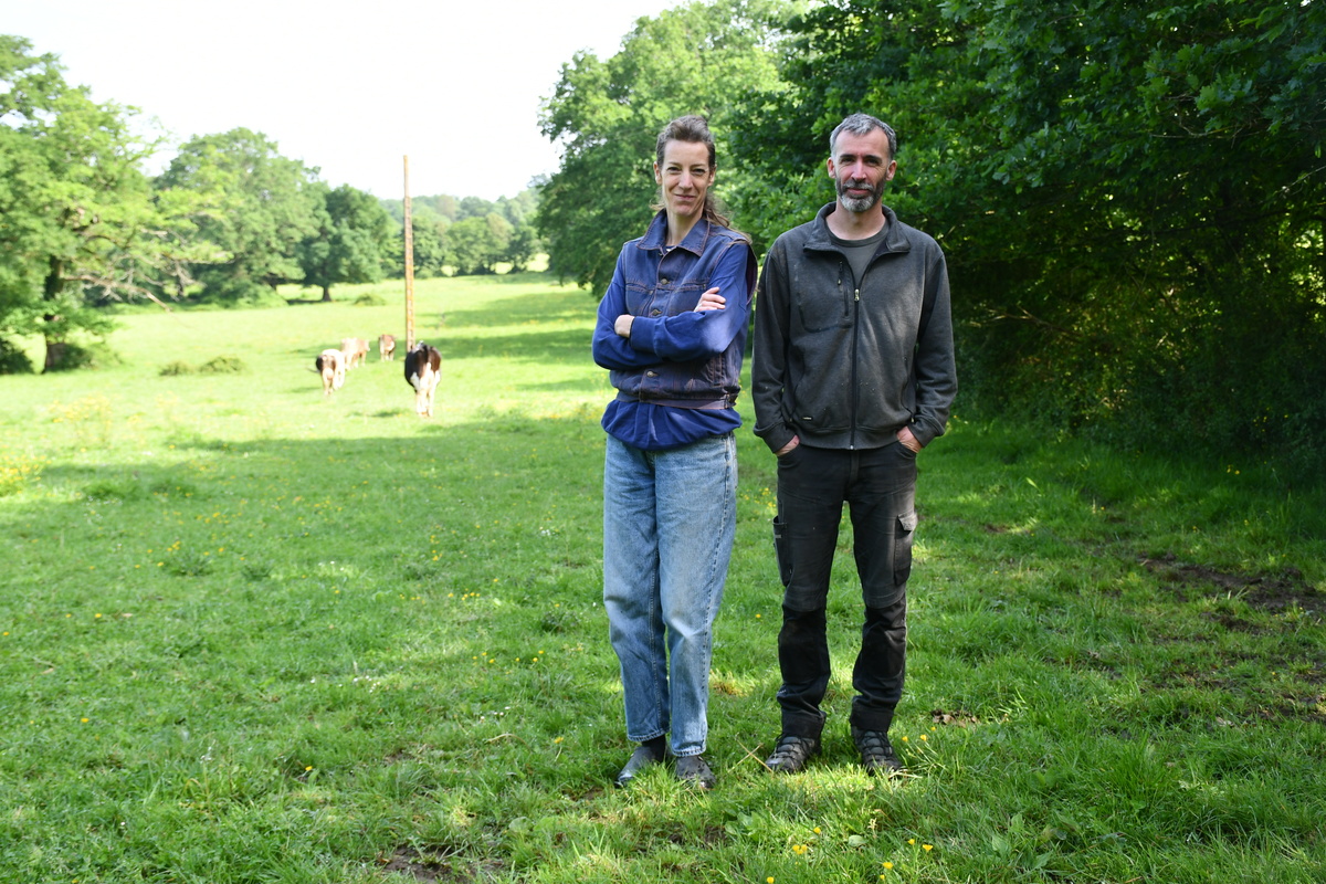 un homme et une femme sur un pâturage avec des haies à côté - Illustration Des vaches, des tommes et du bocage