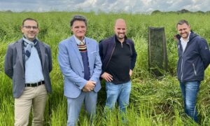 Un groupe de personne dans les herbes hautes devant un arbre tout juste plantée