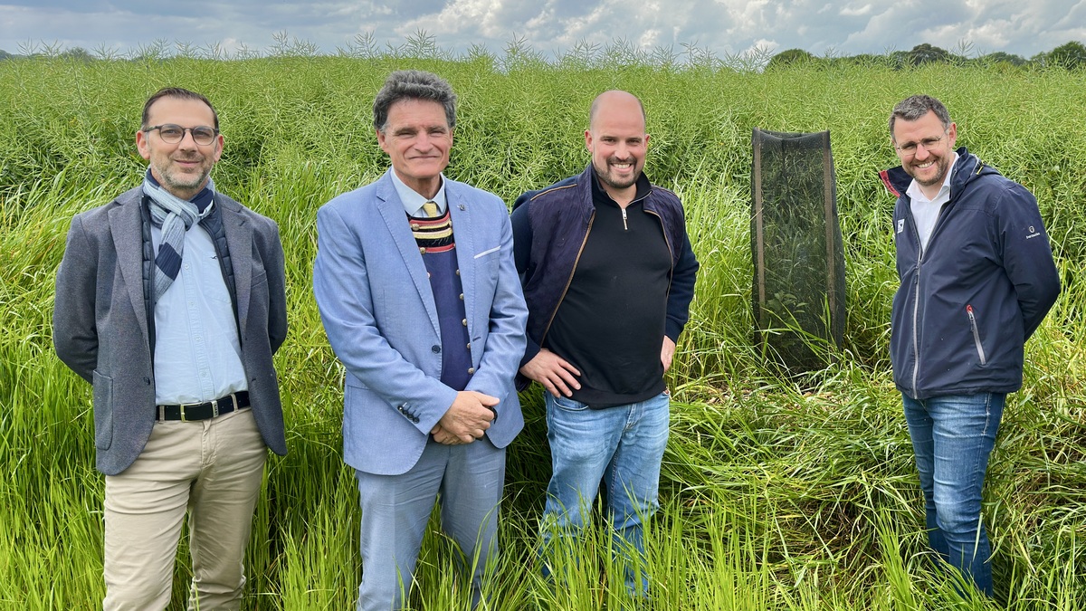Un groupe de personne dans les herbes hautes devant un arbre tout juste plantée - Illustration 5 km de haies plantés en 5 ans