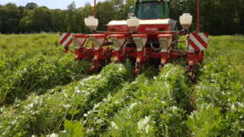 Un tracteur équipé d'un semoir réalise du semis direct