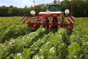 Un tracteur équipé d'un semoir réalise du semis direct