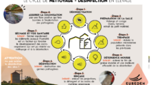 infographie du cycle de nettoyage désinfection des locaux et bâtiments en exploitation agricole