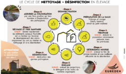 infographie du cycle de nettoyage désinfection des locaux et bâtiments en exploitation agricole