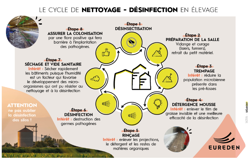 infographie du cycle de nettoyage désinfection des locaux et bâtiments en exploitation agricole - Illustration Nettoyage-désinfection : moins de pathogènes pour des performances optimisées 